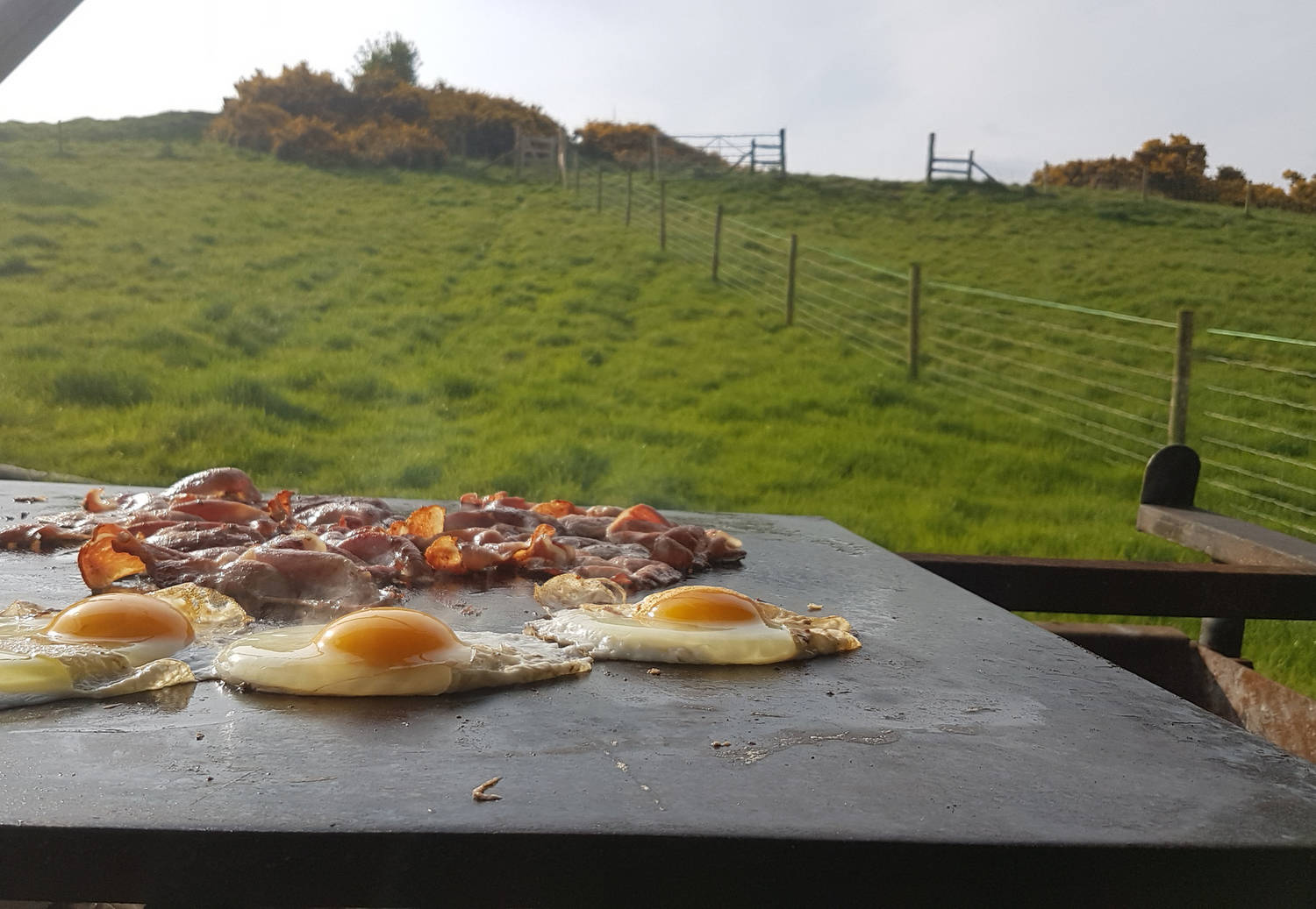 A photograph of eggs and bacon being cooked outdoors with a view of a field.