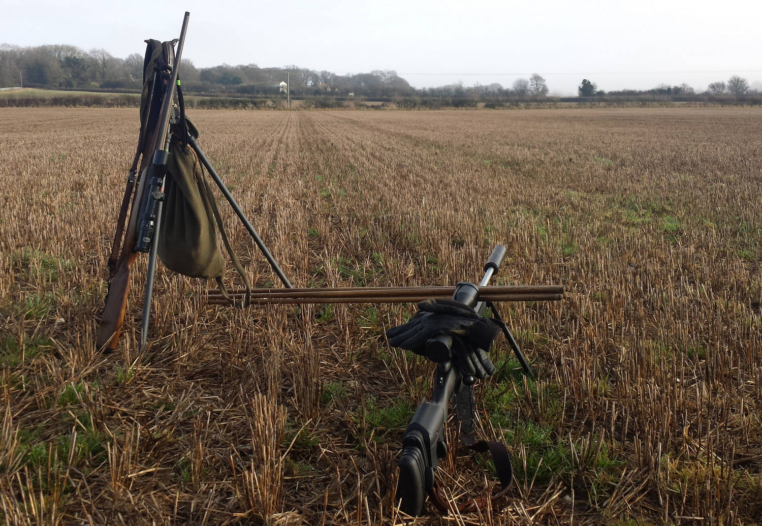 A photograph of shooting sticks in a field