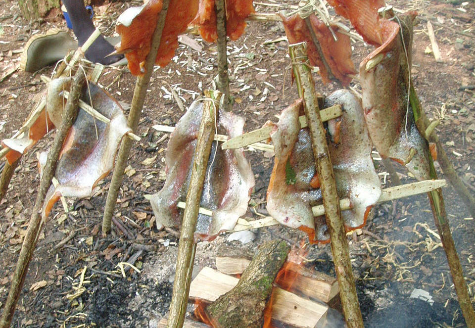 Fish being baked over an open fire in the woods
