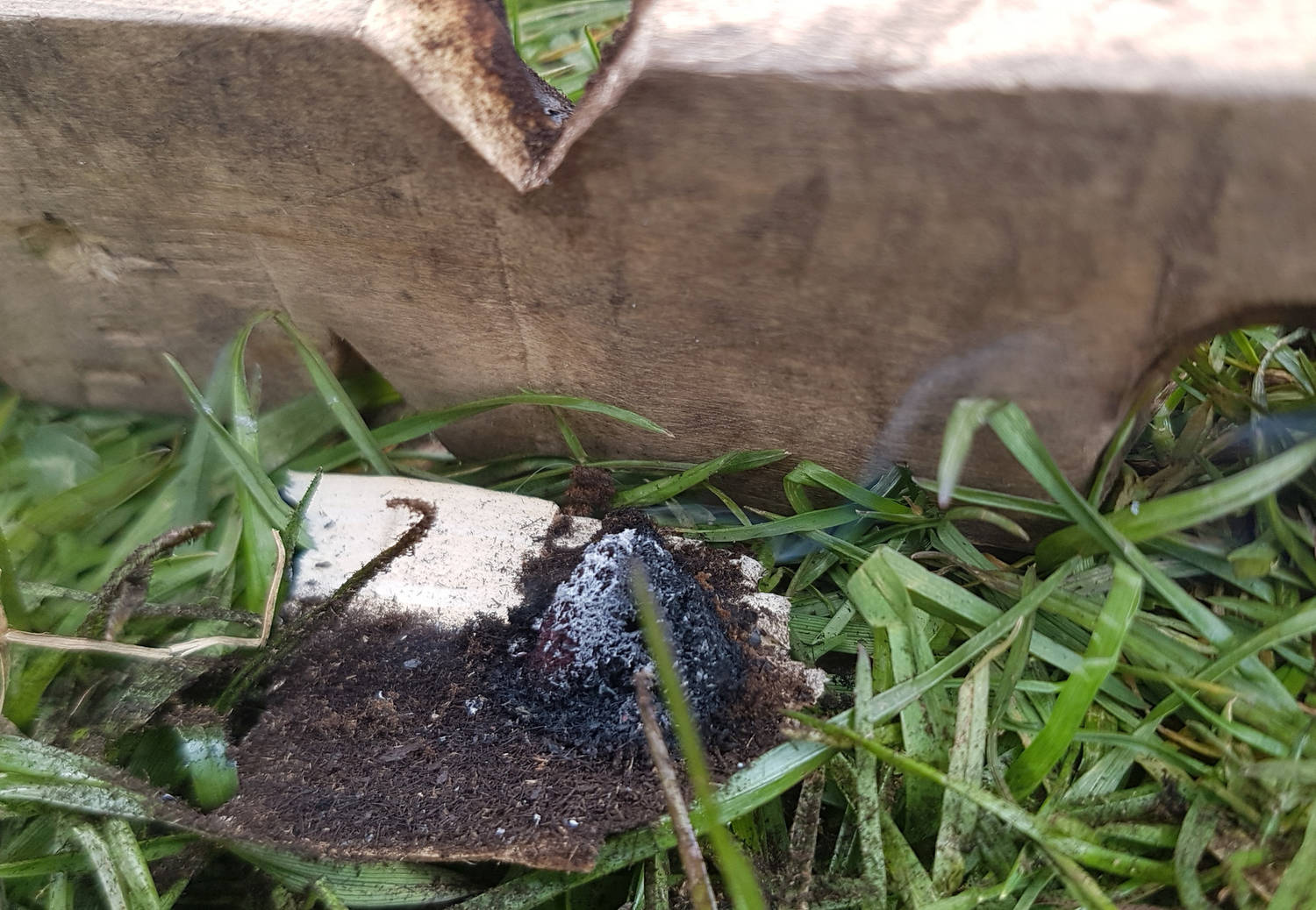 A bow drill over a firelighter outdoors