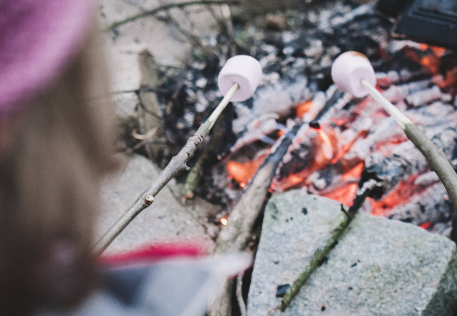 Marshmallows toasting over a campfire in the woods