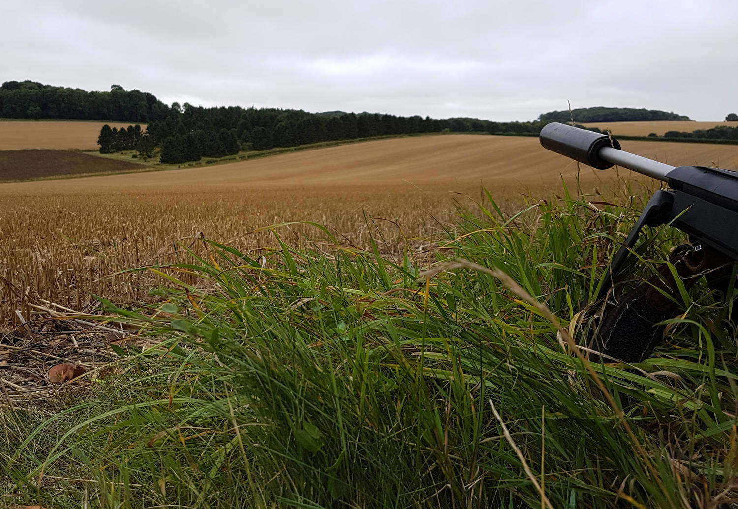 A photograph of a rifle ina field